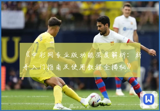 《中彩网专业版功能深度解析：新手入门指南及使用教程全揭秘》