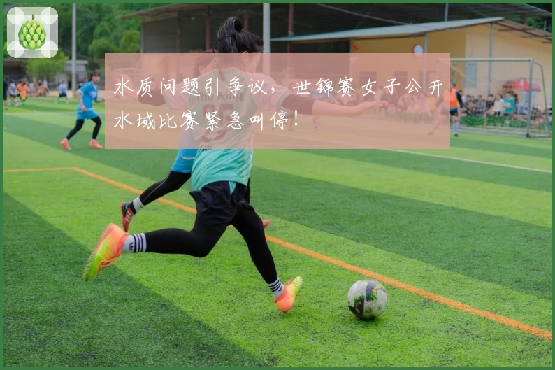水质问题引争议，世锦赛女子公开水域比赛紧急叫停！