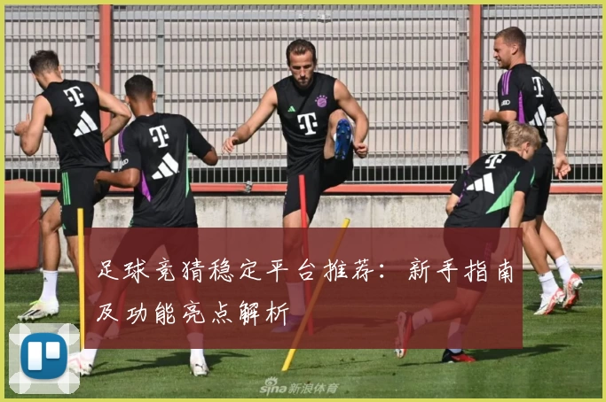 足球竞猜稳定平台推荐：新手指南及功能亮点解析