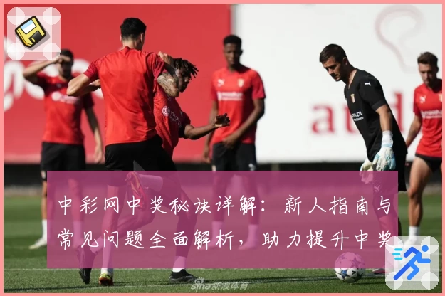 中彩网中奖秘诀详解：新人指南与常见问题全面解析，助力提升中奖概率