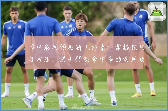 《中彩网预测新人指南：掌握技巧与方法，提升预测命中率的实用攻略》